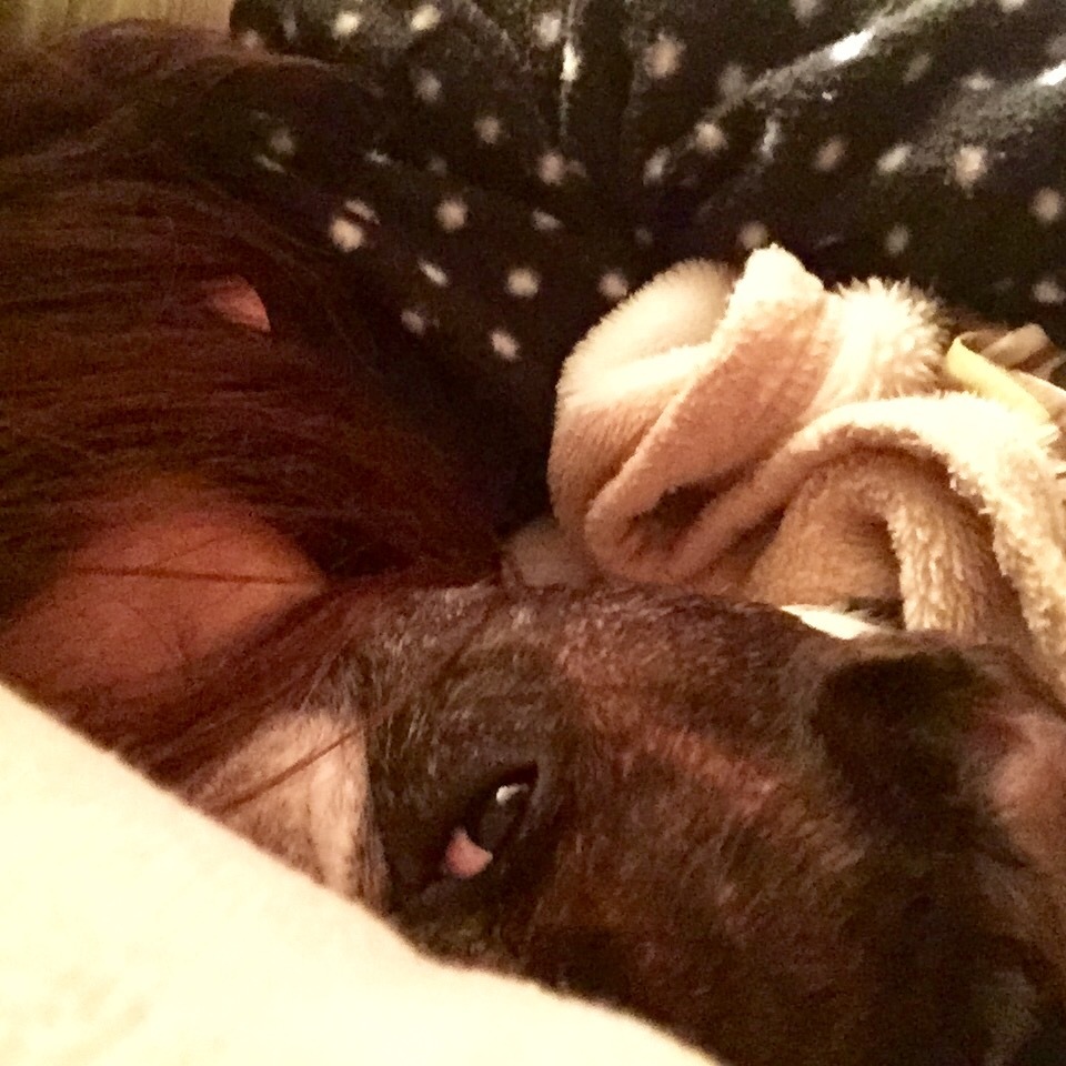 心と体は、深~~~い関係というお話_b0307951_23173387.jpg
