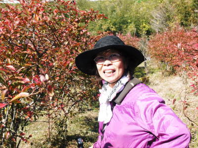 フレッシュブルーベリー 紅葉と冬の剪定開始!おしどり夫婦が元気に頑張っています(後編)_a0254656_18033924.jpg