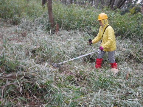 山桜の苗木80本の支柱立て完了！12・19六国見山手入れ_c0014967_17431994.jpg