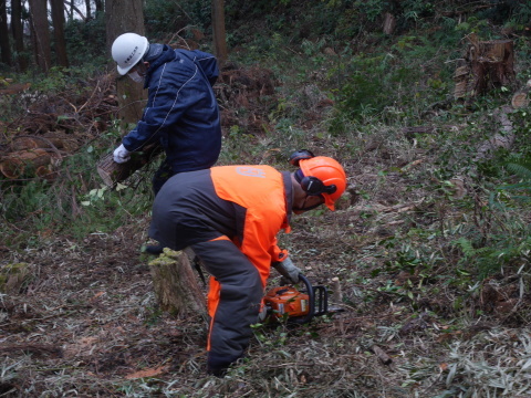 山桜の苗木80本の支柱立て完了！12・19六国見山手入れ_c0014967_17452019.jpg