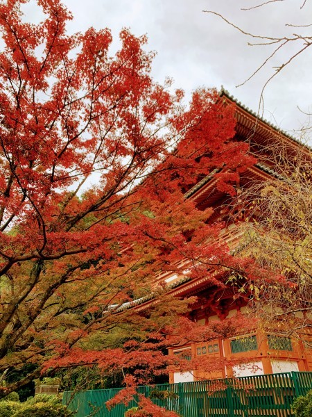 清水寺からのキャンプ_b0183583_00014438.jpg