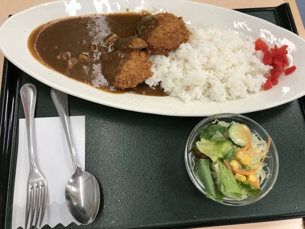 義父のお見舞いに榊原記念病院へ_e0397389_13335743.jpeg