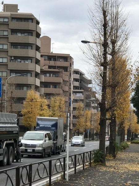 義父のお見舞いに榊原記念病院へ_e0397389_13350195.jpeg