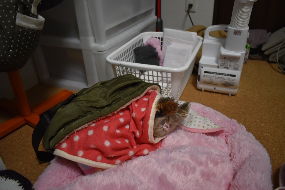 りぃと九州 その3_c0191390_20472583.jpg