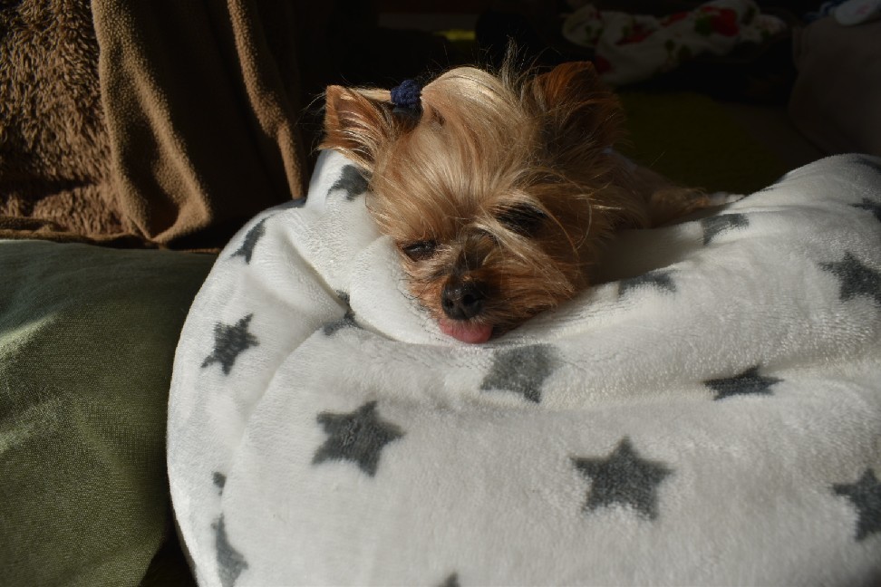 りぃと九州 その3_c0191390_20514380.jpg