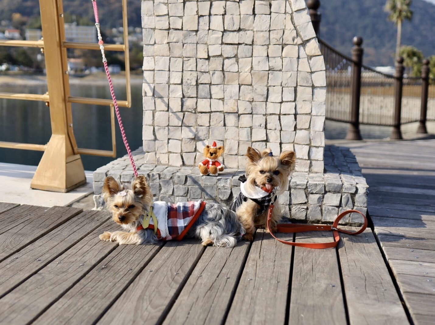 りぃと九州 その3_c0191390_20571424.jpg