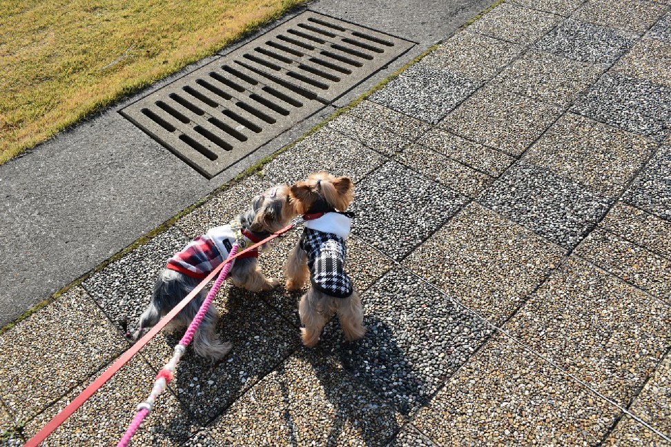 りぃと九州 その3_c0191390_20571439.jpg