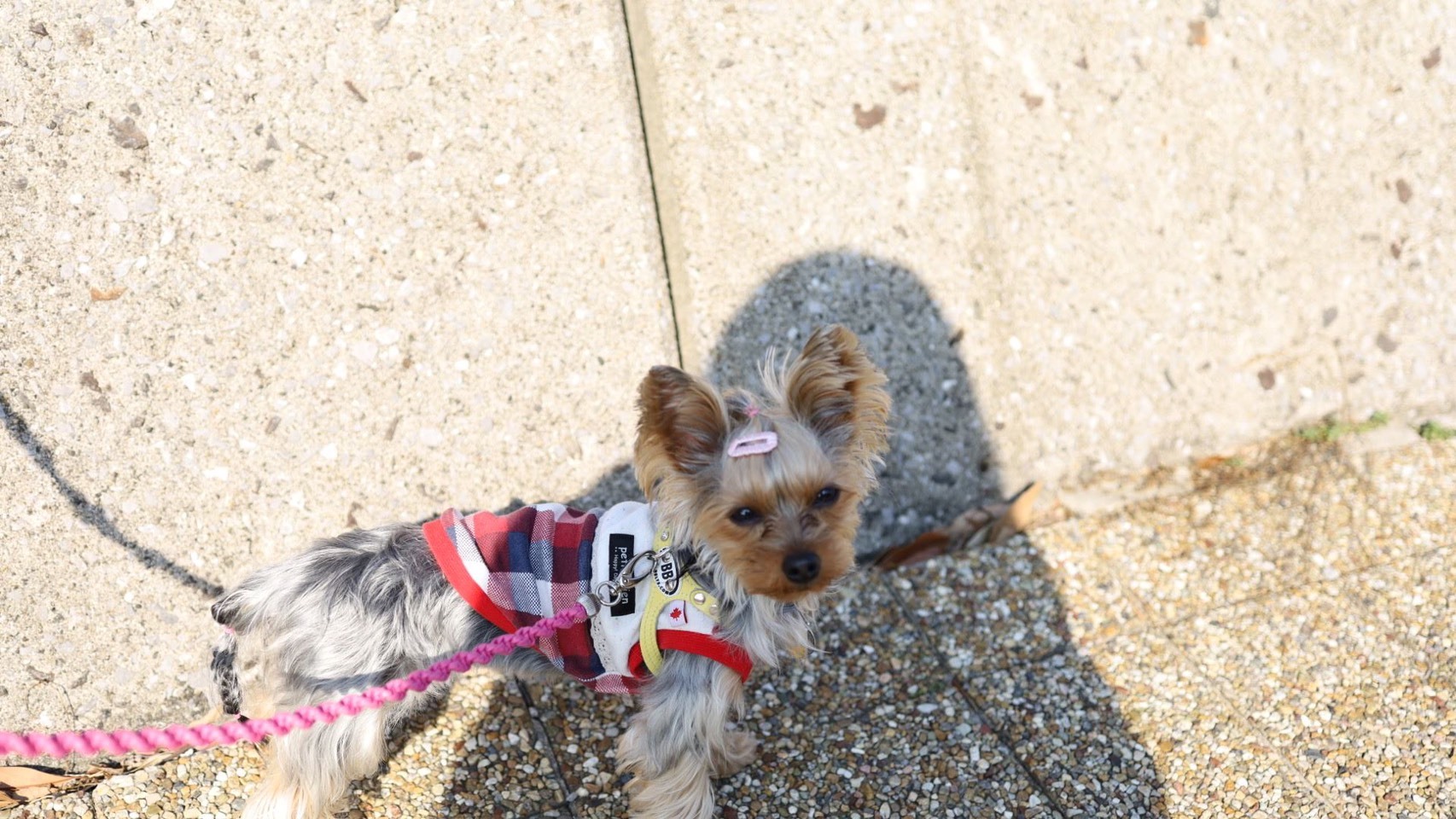 りぃと九州 その3_c0191390_20571490.jpg