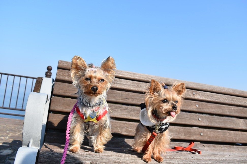 りぃと九州 その3_c0191390_20574660.jpg