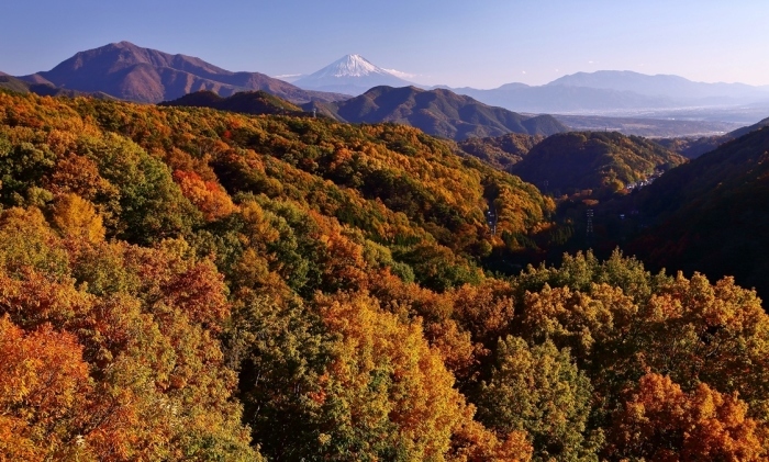 八ヶ岳南麓高原　天女山_b0194994_17141708.jpg