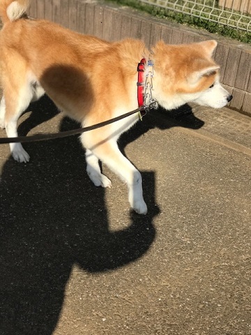 大阪の秋田のオバちゃん_f0242002_18511677.jpg