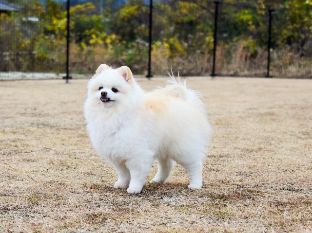 厄日かな?_d0360206_00494114.jpg