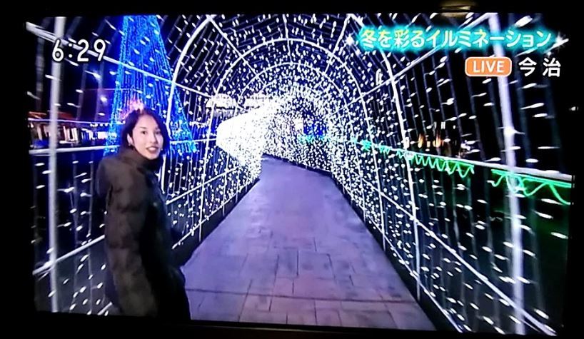 タオル美術館 冬を彩るイルミネーション Live 今治 19 12 19 徳ちゃん便り タオル美術館 冬を彩るイルミネーション Live 今治 19 12 19 徳ちゃん便り