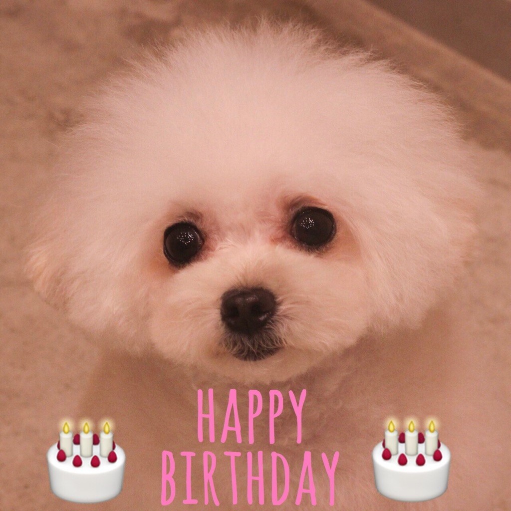 ☆ Happy Birthday ・ ノアちゃん ＆ レナちゃん ☆_d0060413_17303457.jpg