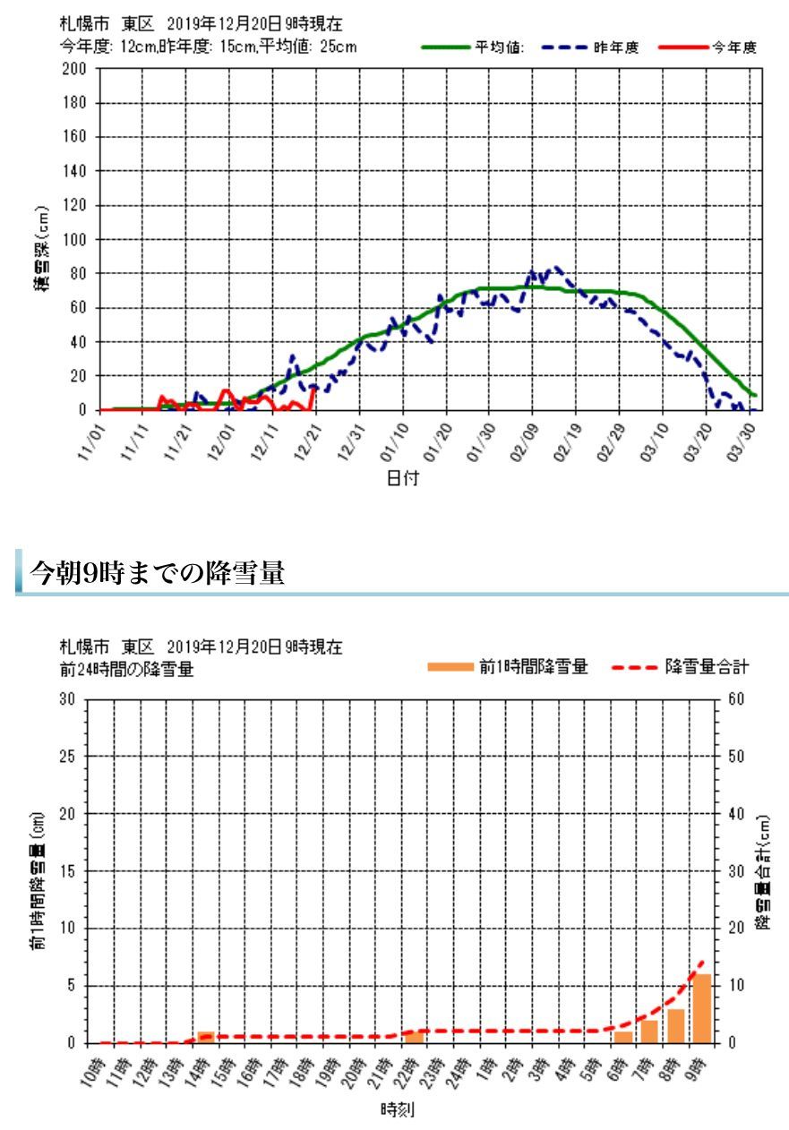 朝になっていきなり降り出しました_c0025115_21180857.jpg