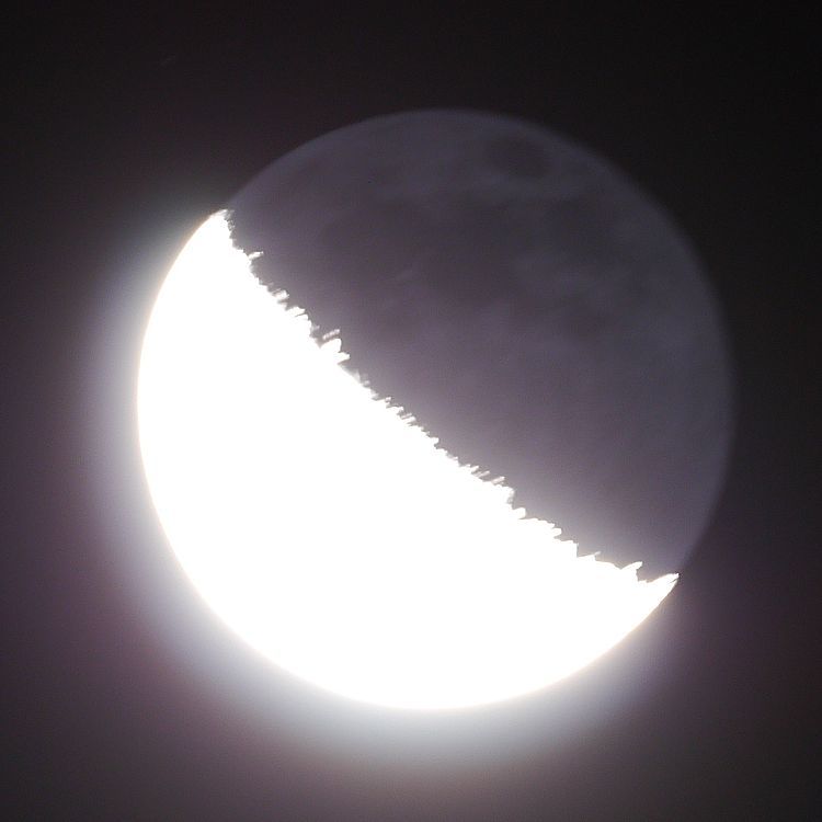 月齢23.5　下弦を過ぎてだんだん鋭くなって来た月を早起きして撮る(^^;_a0031821_13155170.jpg