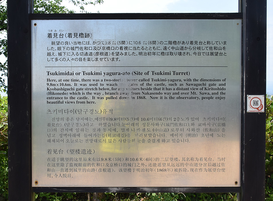 国宝・彦根城を歩く。 その3 <太鼓丸~太鼓門櫓~本丸>_e0158128_16481625.jpg