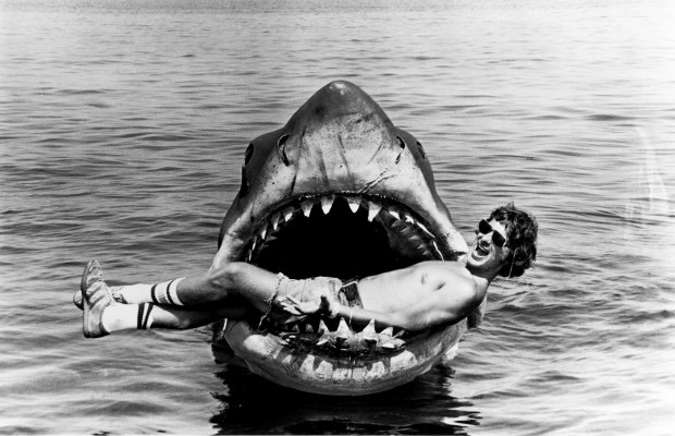 Jaws The Revenge 1987 Living A Boy S Adventure Tale Jaws The Revenge 1987 Living A Boy S Adventure Tale