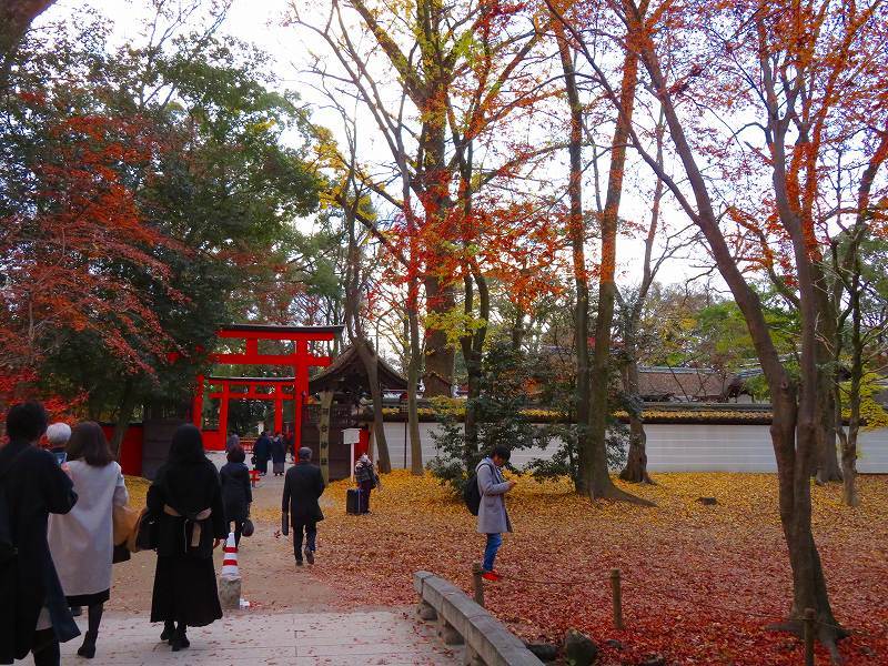 下鴨「河合神社の紅葉」20191214_e0237645_23152510.jpg