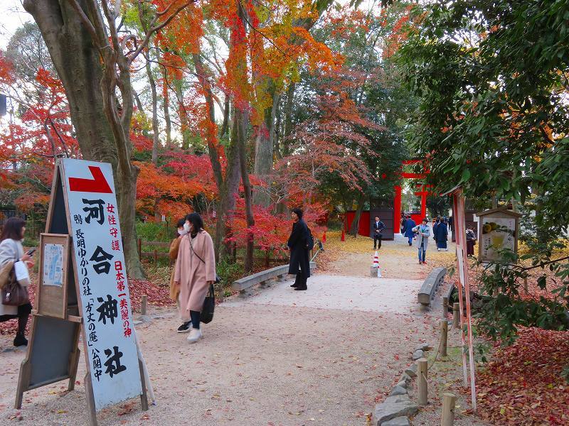 下鴨「河合神社の紅葉」20191214_e0237645_23152517.jpg