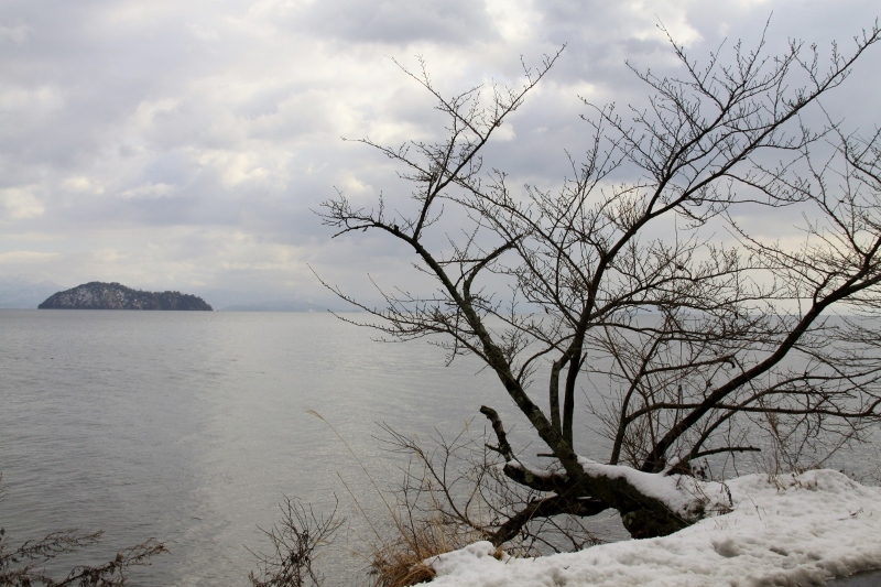 奥琵琶湖の雪景色_a0355356_13281730.jpg