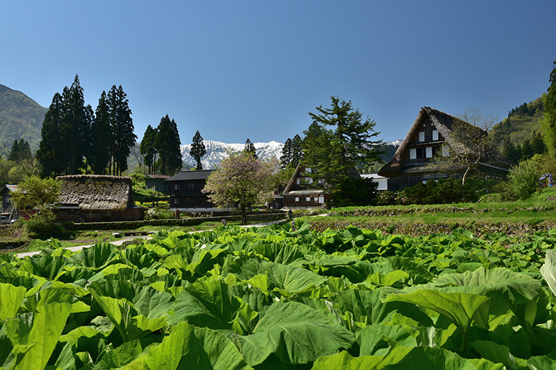 2019年 去り行く年の思い出フォトブログ_e0164563_09294714.jpg