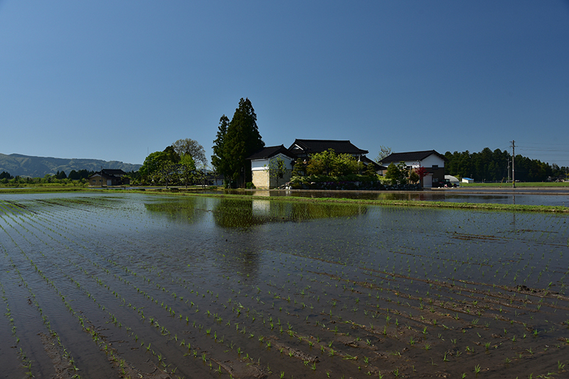 2019年 去り行く年の思い出フォトブログ_e0164563_09294899.jpg