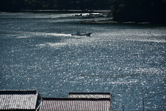 2019年 去り行く年の思い出フォトブログ_e0164563_09302369.jpg