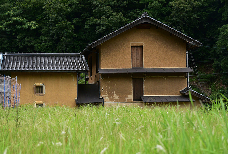 2019年 去り行く年の思い出フォトブログ_e0164563_09302462.jpg