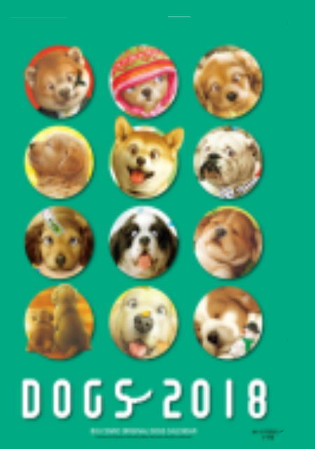 《 あんなこと こんなこと 》_c0328479_11304648.jpg