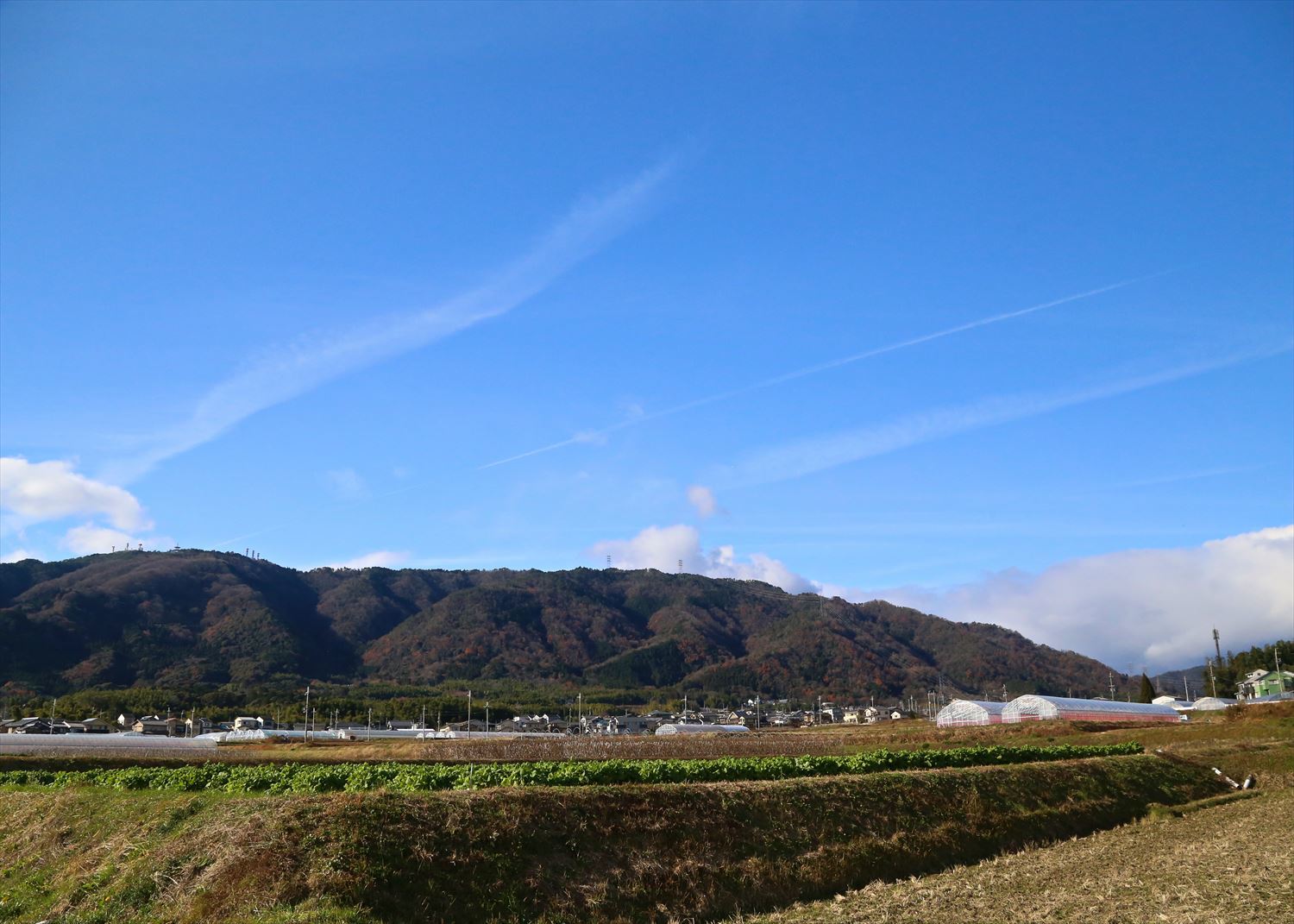 大原野散策　　冬景色_a0105680_15331479.jpg