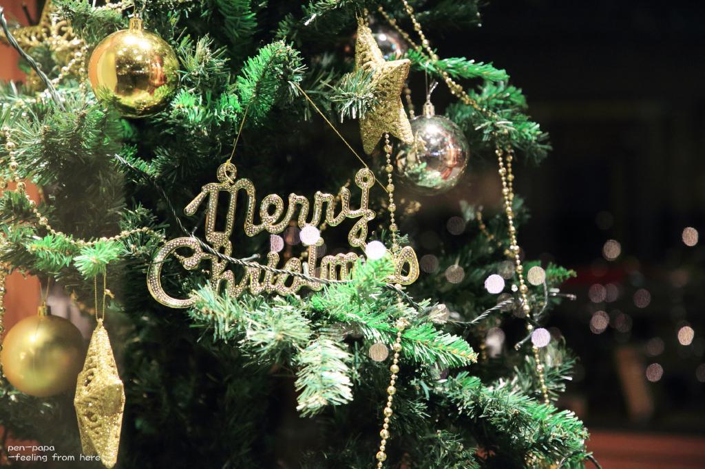 Merry Christmas_c0356480_20233706.jpg