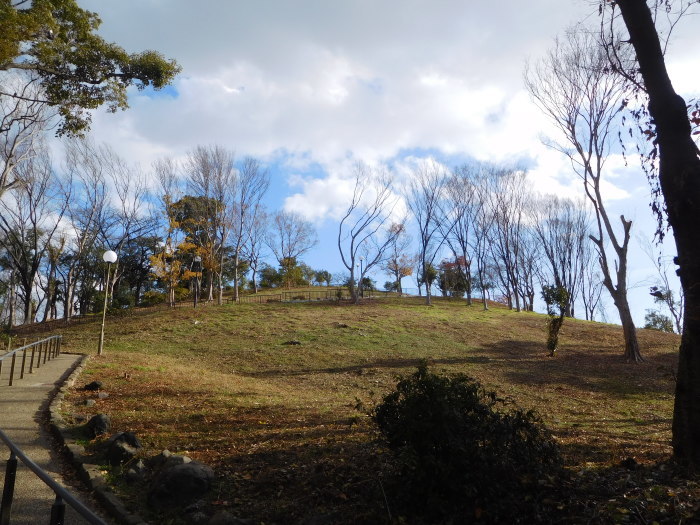 昭和山 しょうわざん 33m 19年12月日 大正区 すまいらー山日記