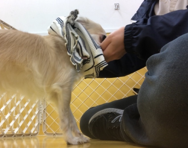 トレーニングブログ_f0357682_16421407.jpeg