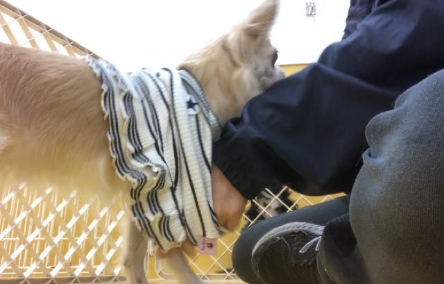 トレーニングブログ_f0357682_16423848.jpeg