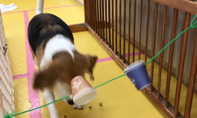 トレーニングブログ_f0357682_16470453.jpeg