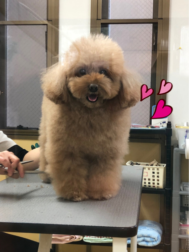 それぞれの過ごし方☺︎︎_f0357682_17304896.jpg