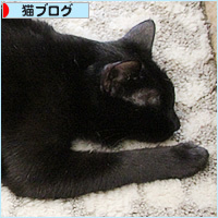 いまどきの猫_a0389088_16410108.jpg