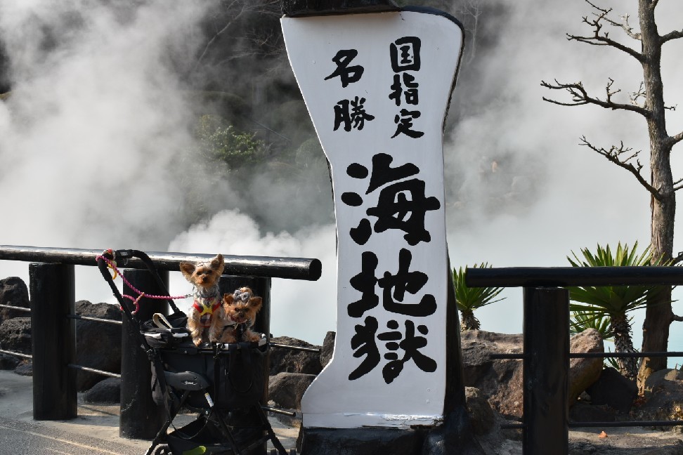 りぃと九州 その4_c0191390_20502010.jpg