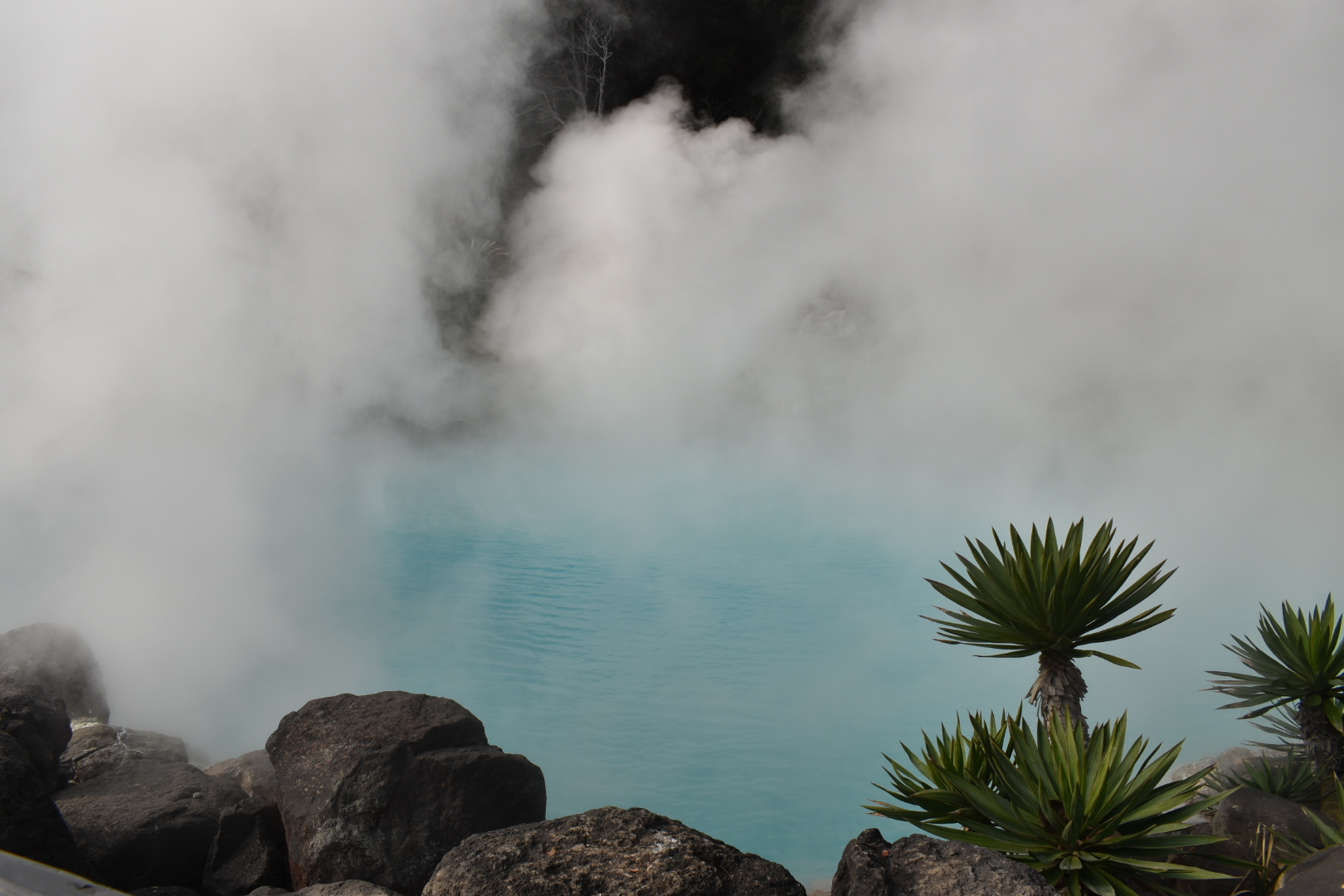 りぃと九州 その4_c0191390_20502083.jpg