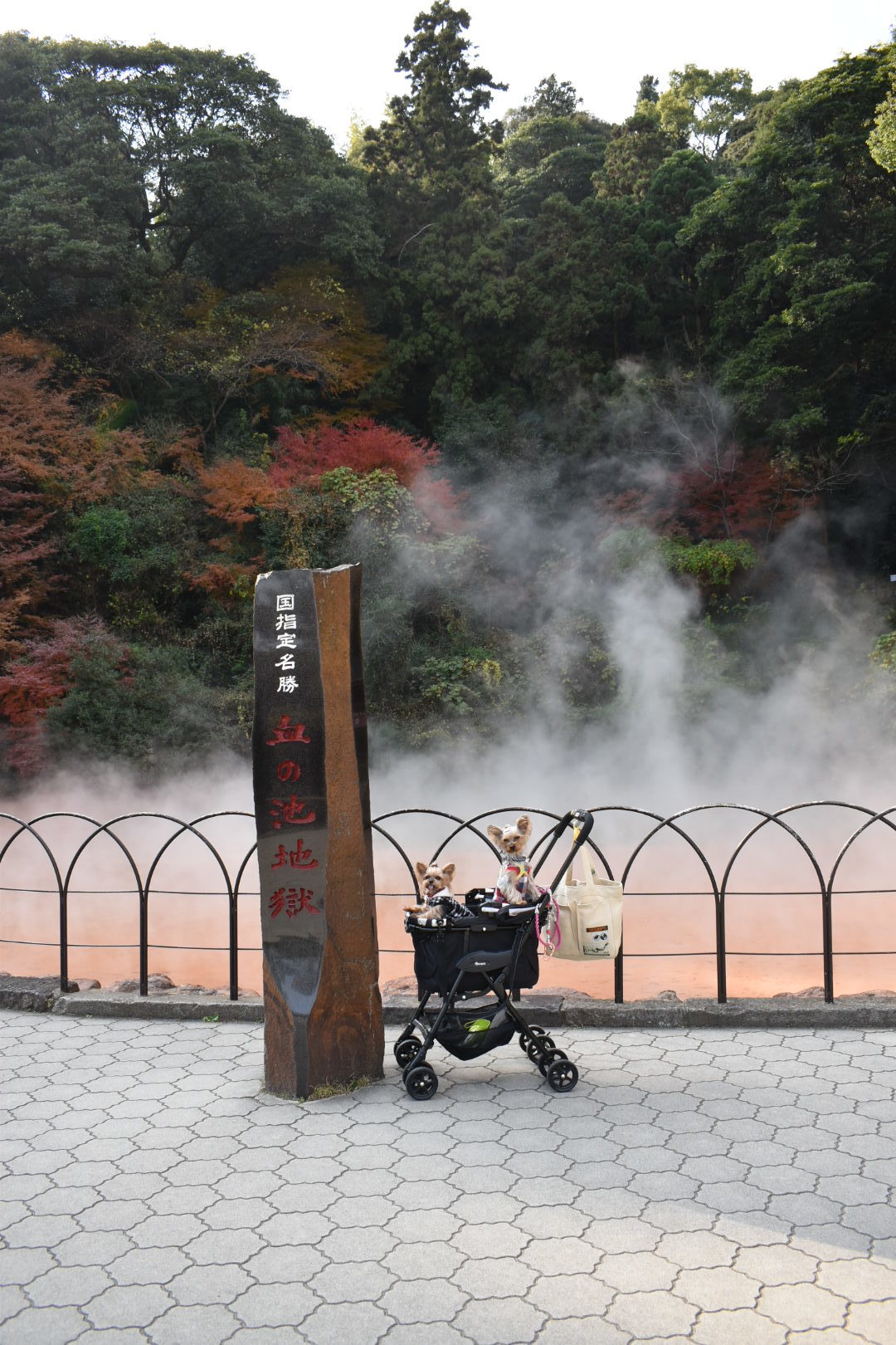 りぃと九州 その4_c0191390_20503929.jpg