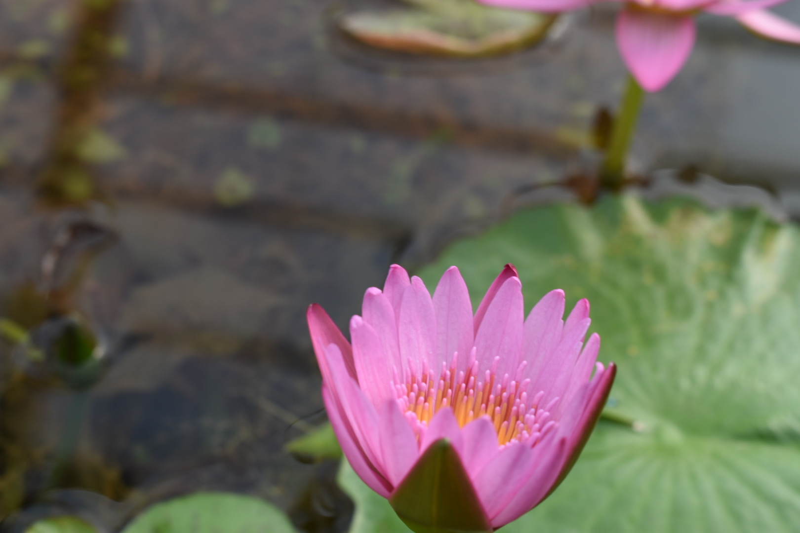 りぃと九州 その4_c0191390_20525016.jpg