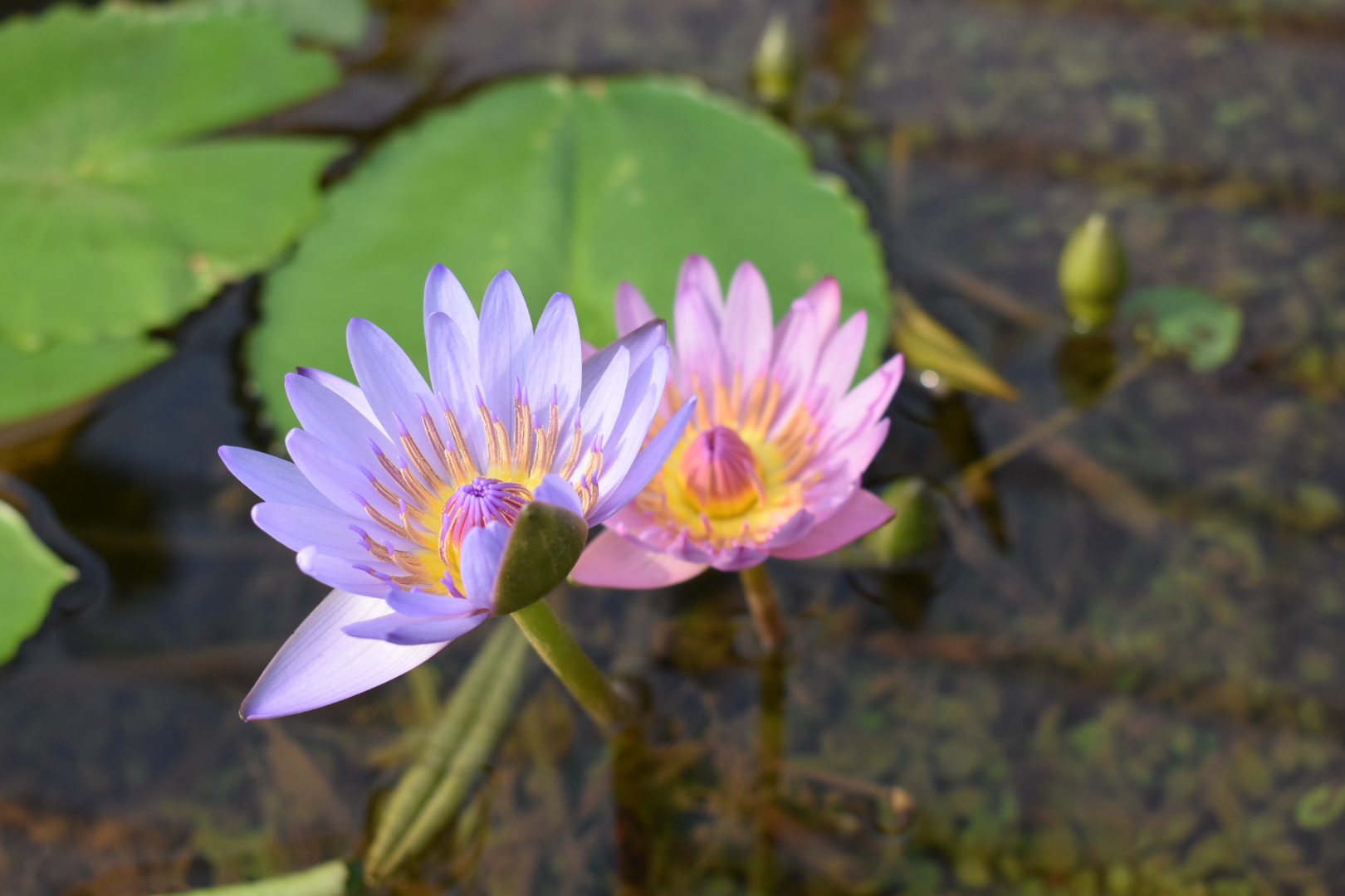 りぃと九州 その4_c0191390_20525045.jpg