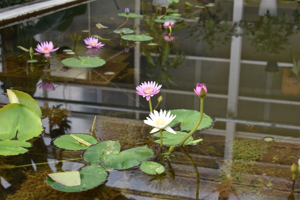 りぃと九州 その4_c0191390_20525135.jpg