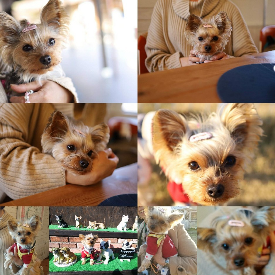 りぃと九州 その4_c0191390_21095452.jpg