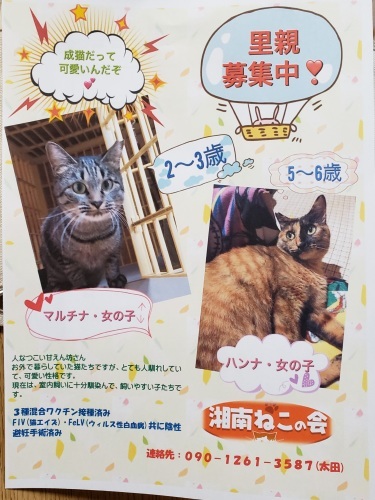 大人だって、幸せになりたい!_d0179994_03294365.jpg