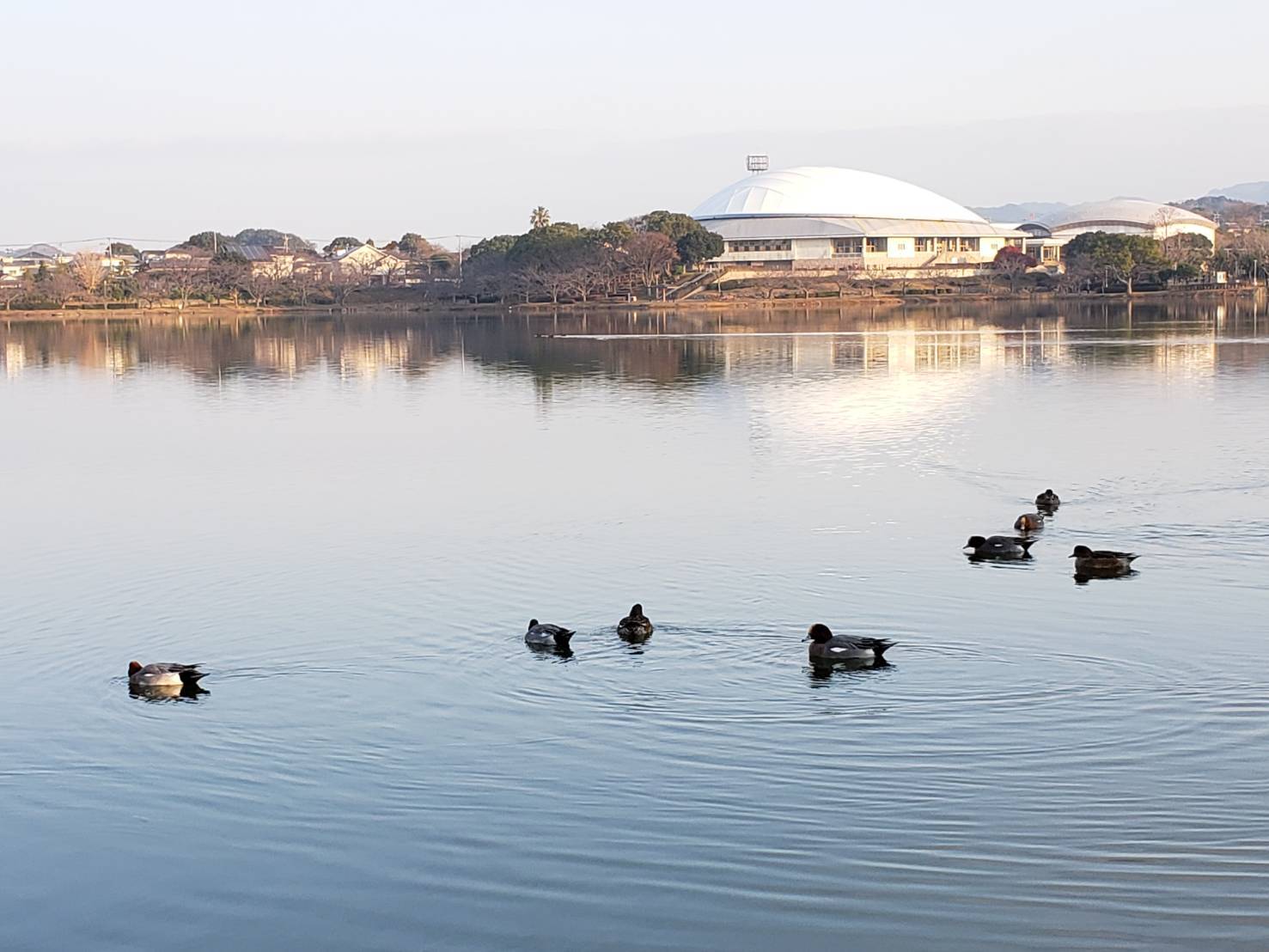 駕与丁公園 福岡県糟屋郡粕屋町 カルデラバッチョの日々