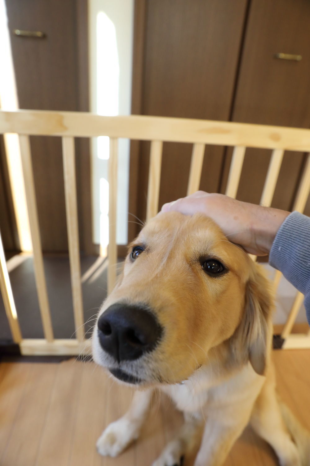 祝!0.5歳♪_b0275998_10222408.jpg