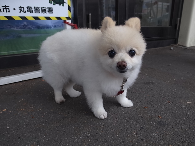 2019年動物達に感謝です。_f0197703_10312615.jpg