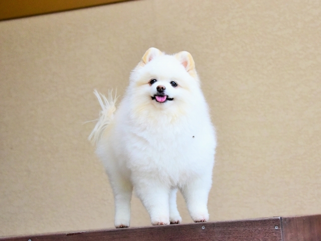 一大イベント当日_d0360206_00443378.jpg
